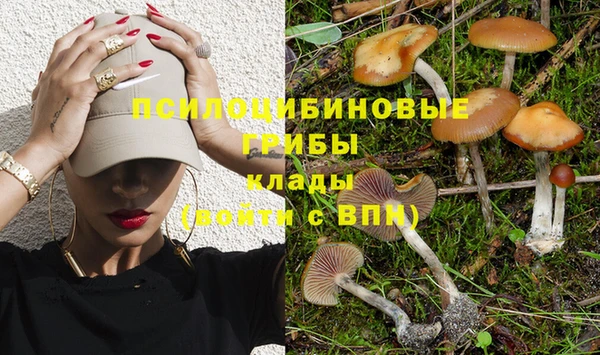 стаф Ладушкин