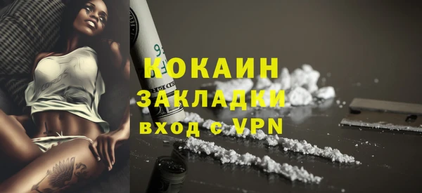 стаф Ладушкин