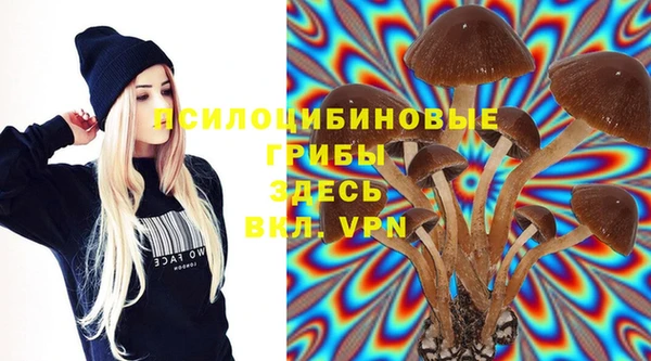 spice Липки