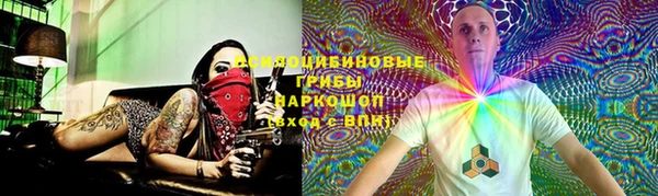 трава Лабытнанги